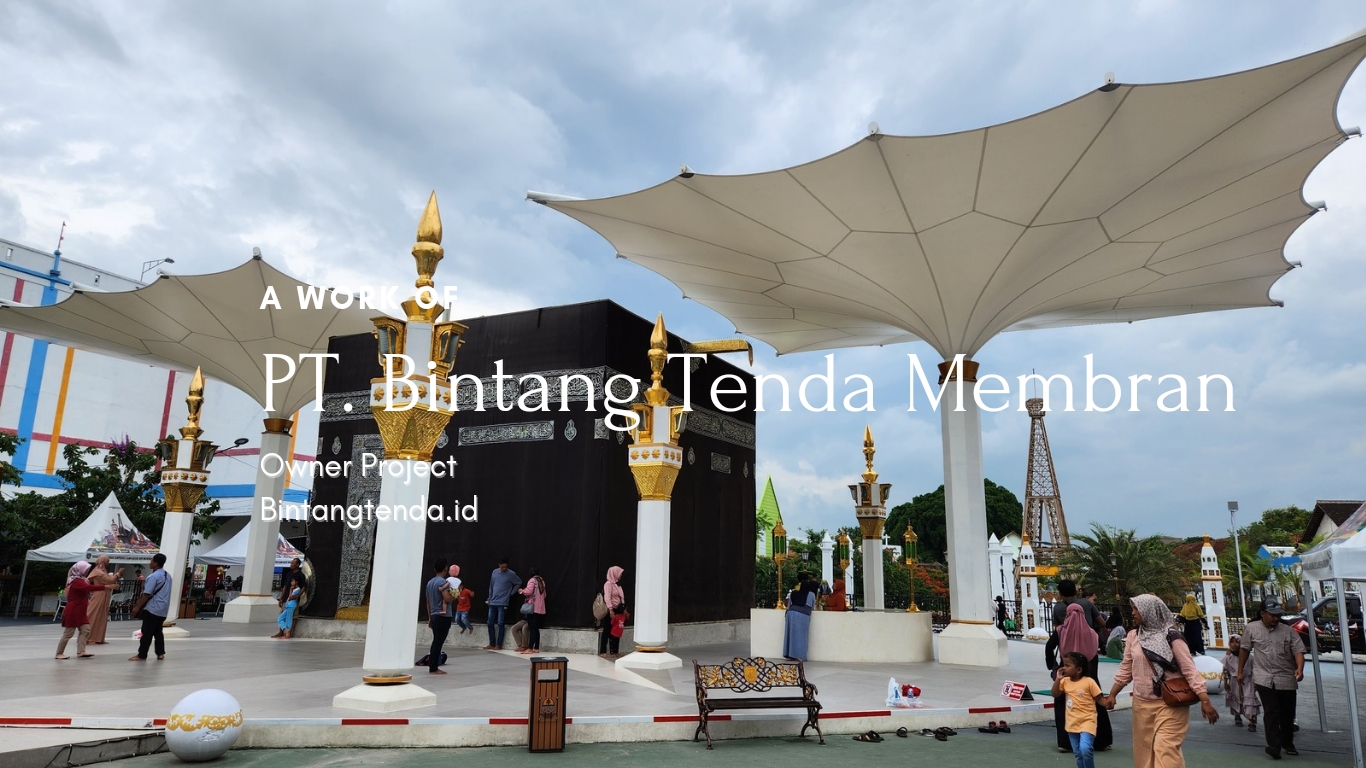 P_20241117_074201_0000