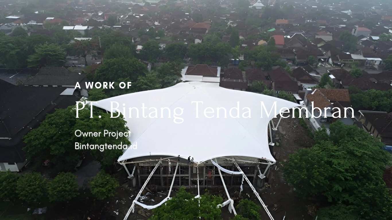 P_20241117_074527_0000