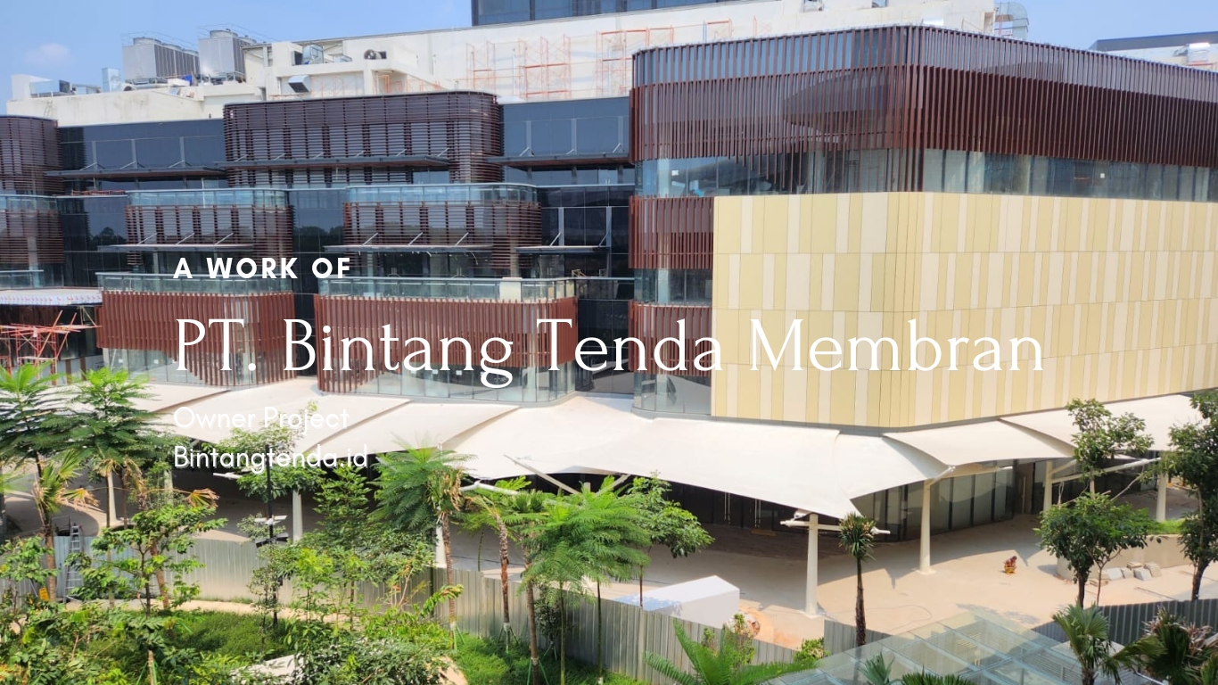 P_20241117_074802_0000