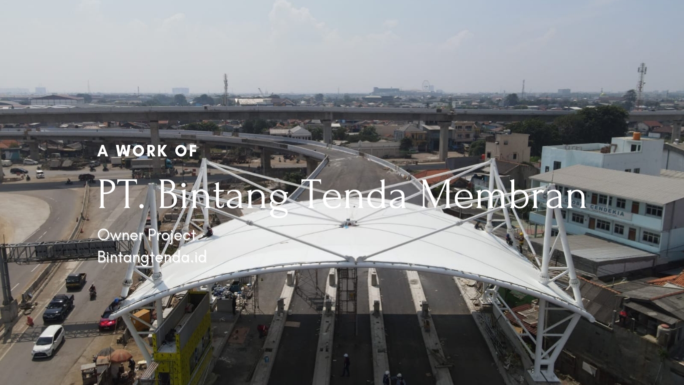 P_20241117_075911_0000