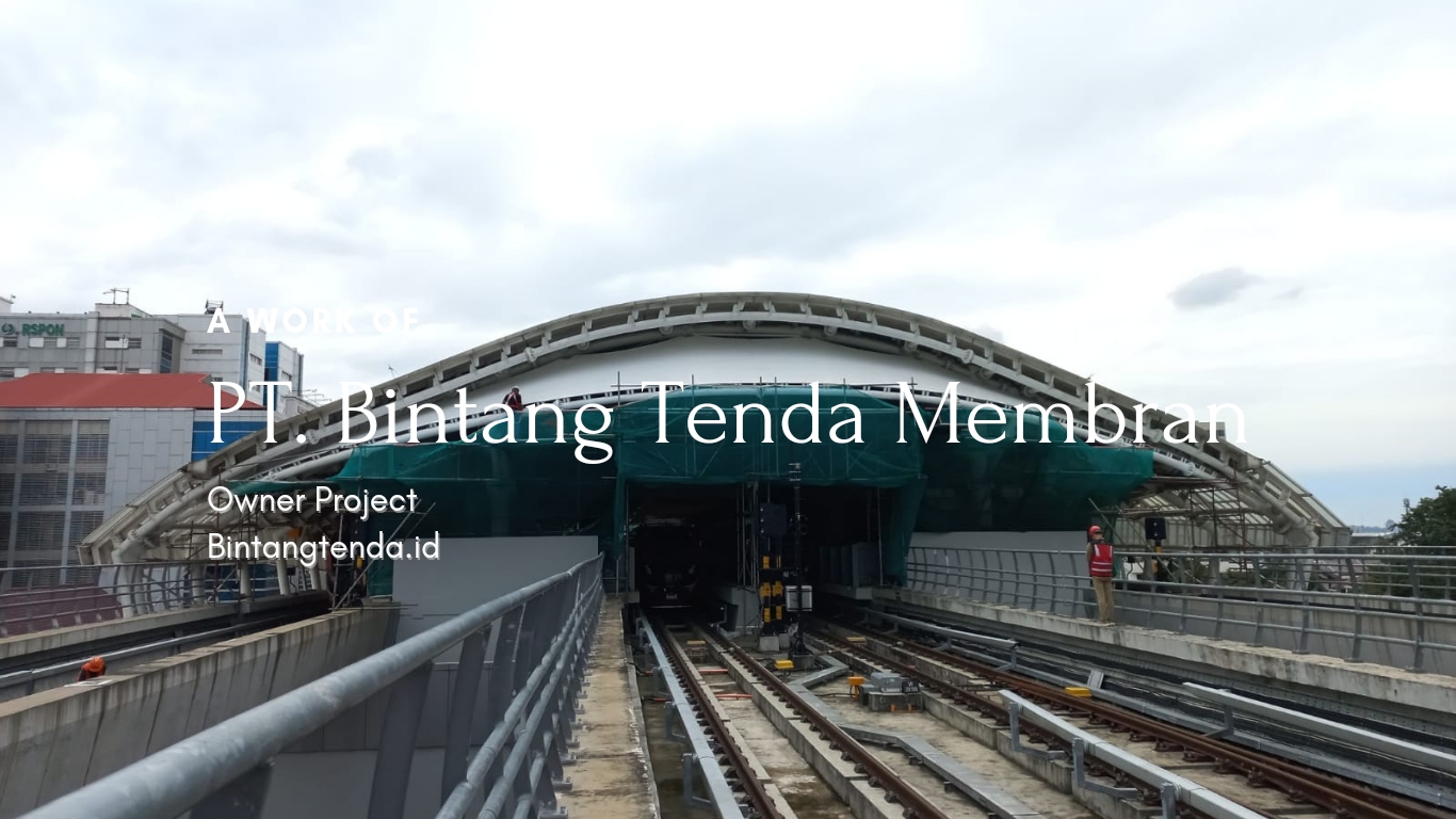 P_20241117_075931_0000