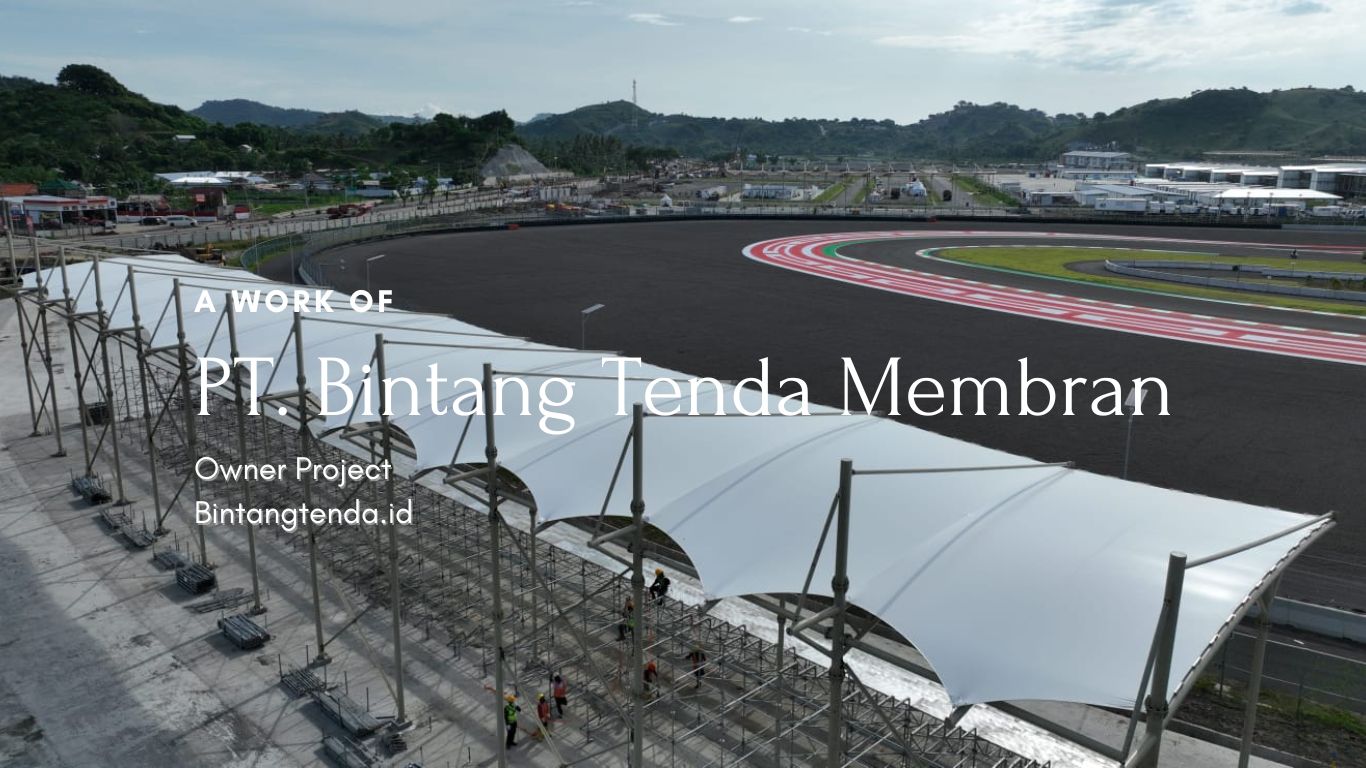 P_20241117_080136_0000